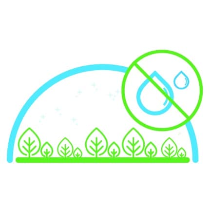 antifog