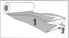 fold 4